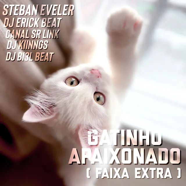 Gatinho Apaixonado - Remix