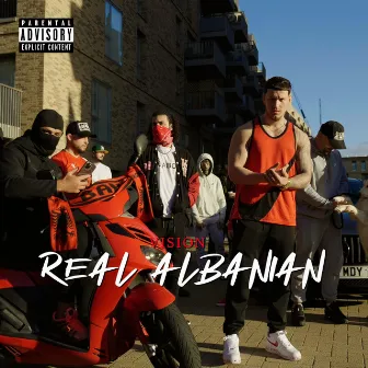 Real Albanian by Vision