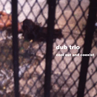 Cool Out and Coexist by Dub Trio