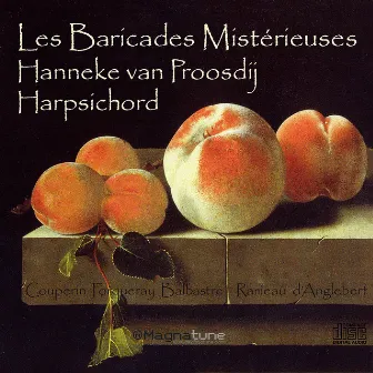 Les Baricades Misterieuses by Hanneke van Proosdij