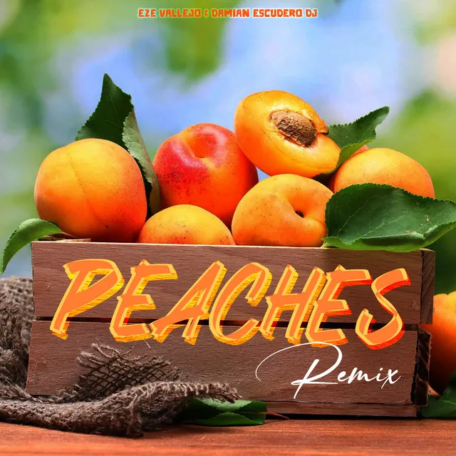 Peaches - Remix