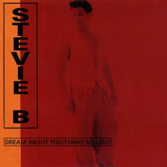 Funky Melody by Stevie B