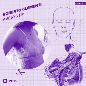 Avesys by Roberto Clementi