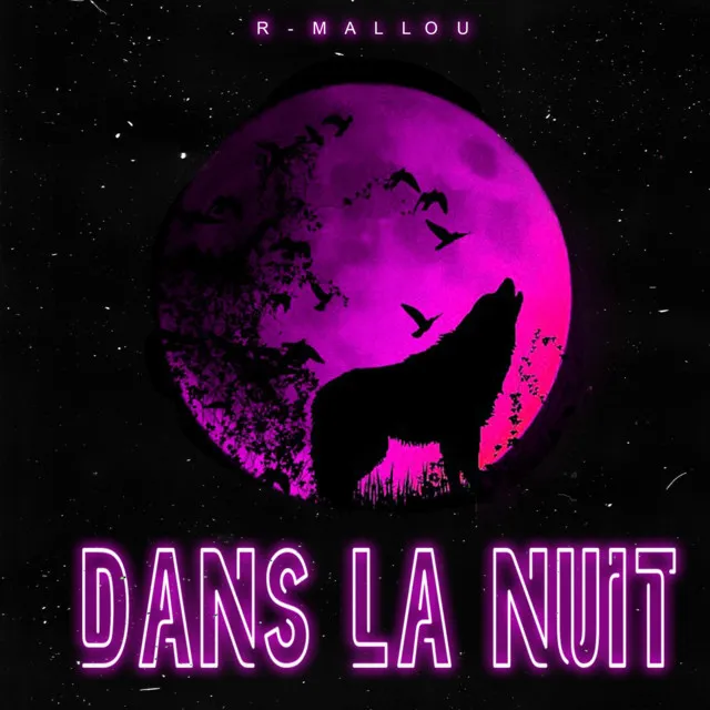 Dans La Nuit