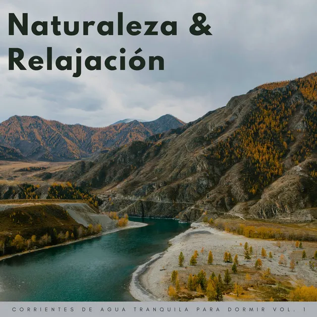 Naturaleza Y Relajación: Corrientes De Agua Tranquila Para Dormir Vol. 1