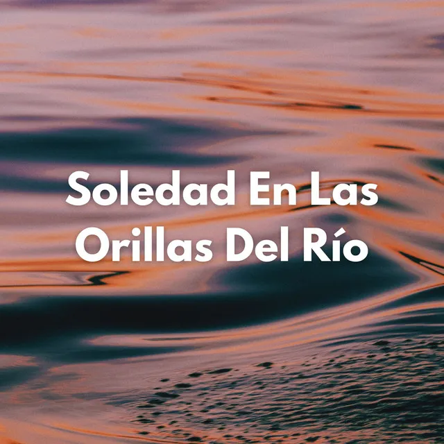 Soledad En Las Orillas Del Río