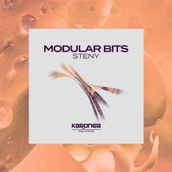 Modular Bits by Steny