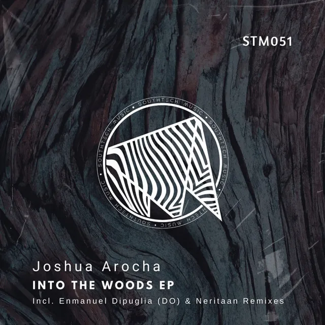 Into The Woods - Original Mix