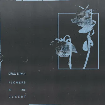 Flowers in the Desert by Drew Erwin