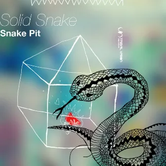 Snake Pit by Solid Snake