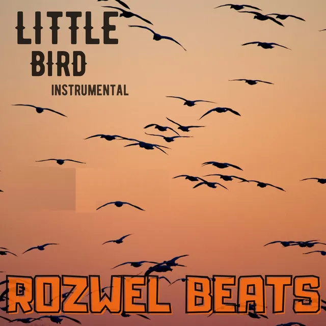 Little Bird - Instrumental