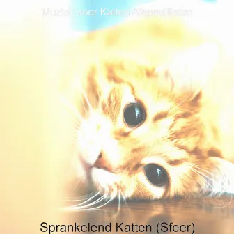 Sprankelend Katten (Sfeer) by Unknown Artist