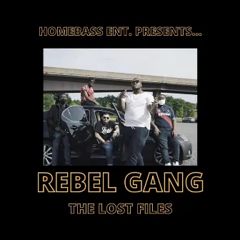 Rebel Gang: The Lost Files by M.J. Olden