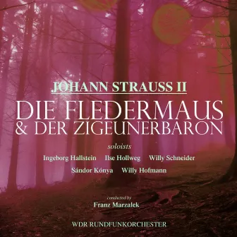 Die Fledermaus & Der Zigeunerbaron by Grosses Operetten Orchester