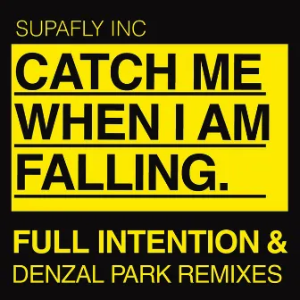 Catch Me When Im Falling by Supafly