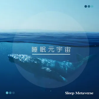 睡眠 鯨魚聲 by 睡眠Metaverse 睡眠BGM 睡眠ASMR