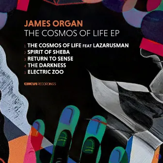 The Cosmos Of Life EP by James Organ