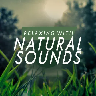 Relaxing with Natural Sounds by Unknown Artist