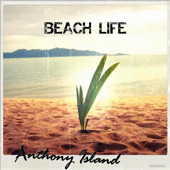 Beach Life by Anthony Island