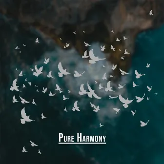 Pure Harmony: Deep Relaxation and Wellbeing by Pure Sound Universe