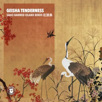 Sado Banned Island Birds 佐渡島 by Geisha Tenderness