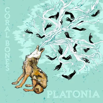 Platonia by Coral Bones