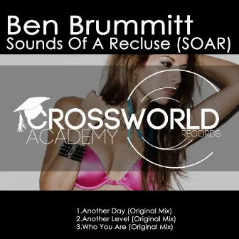 Sounds Of A Recluse (SOAR) by Ben Brummitt