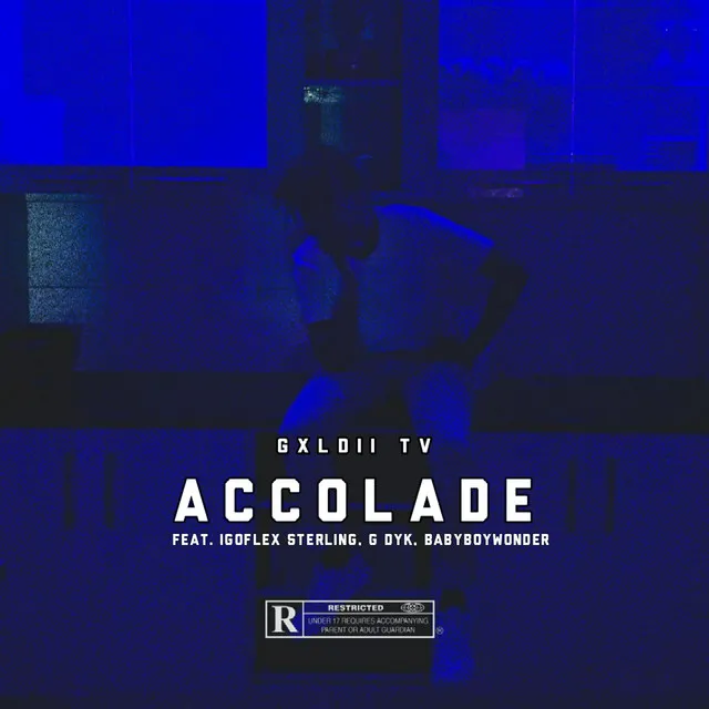 Accolade (feat. BABYBOYWONDER, G Dyk & IGOFLEX Sterling )