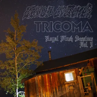 Royal Flush Sessions Vol. 1, Split EP (Live 2020) by Tricoma