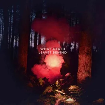 What Death Leaves Behind - Single by Los Campesinos!