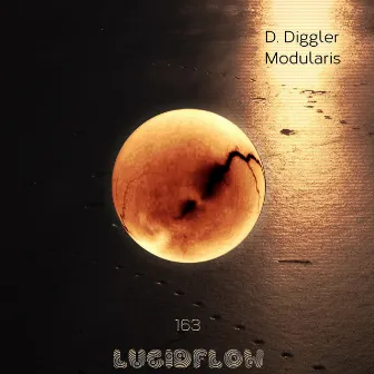 Modularis by D. Diggler