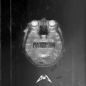 Possession by OWL