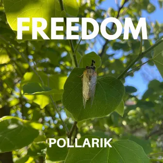 Freedom by Pollarik