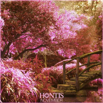 November by Hontis