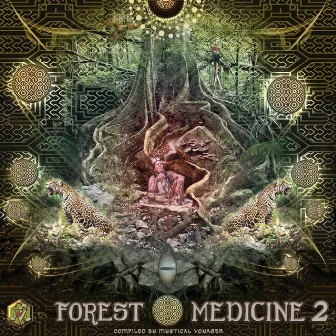 Medicine Walk by Kundalini Project