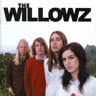 Talk in Circles by The Willowz