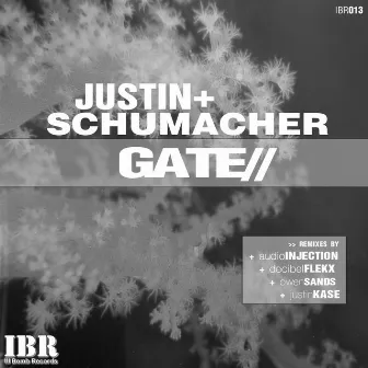 Gate by Justin Schumacher