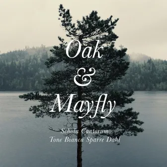 Bjørn Morten Christophersen: Oak & Mayfly by Bjørn Morten Christophersen