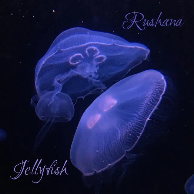 Jellyfish