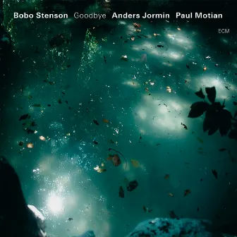 Goodbye by Bobo Stenson