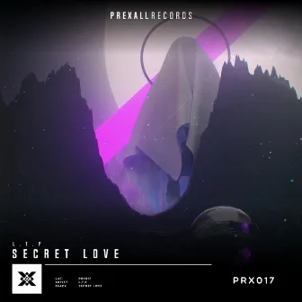 Secret Love by L.T.P