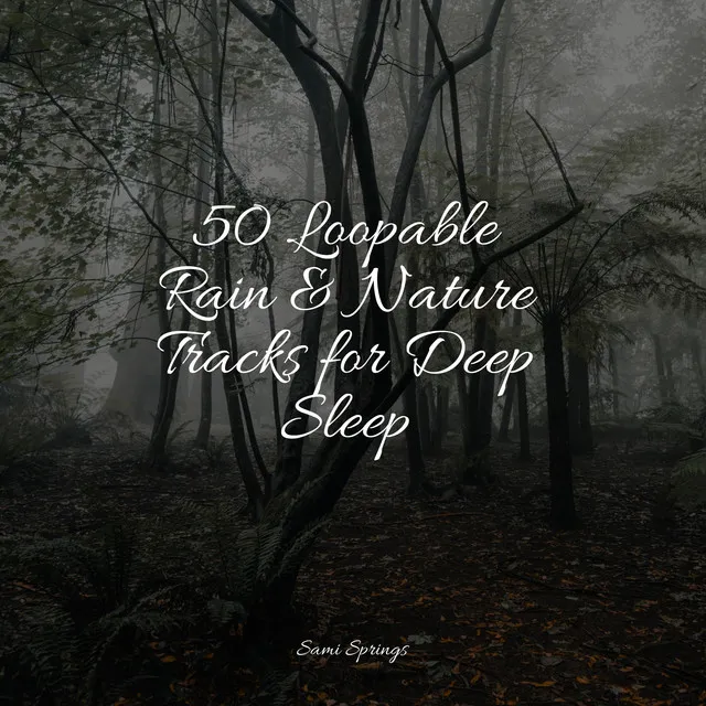 50 Loopable Rain & Nature Tracks for Deep Sleep