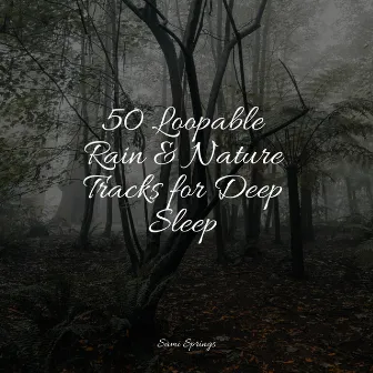 50 Loopable Rain & Nature Tracks for Deep Sleep by Ambient Nature White Noise