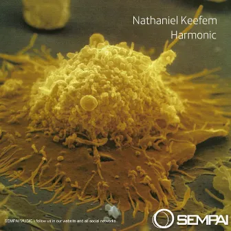 Harmonic by Nathaniel Keefem