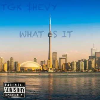 What Is It by TGK Shevy