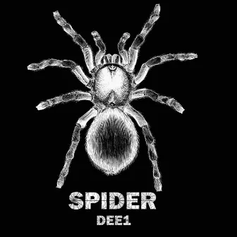 SPIDER by DEE1