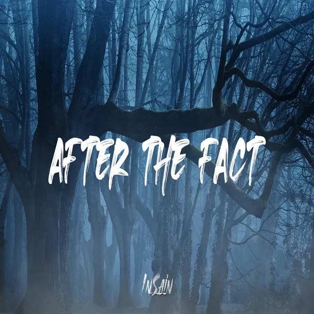 After The Fact - Instrumental