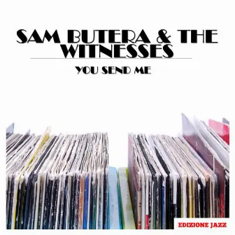 You Send Me by The Witnesses