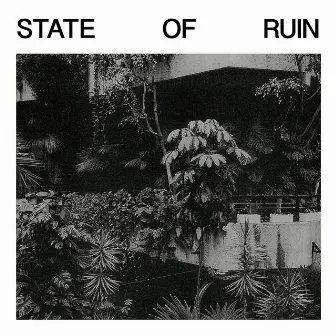 State of Ruin by Silk Road Assassins