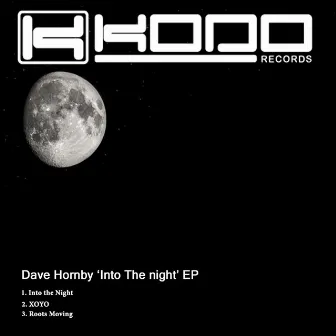 Into the Night by Dave Hornby